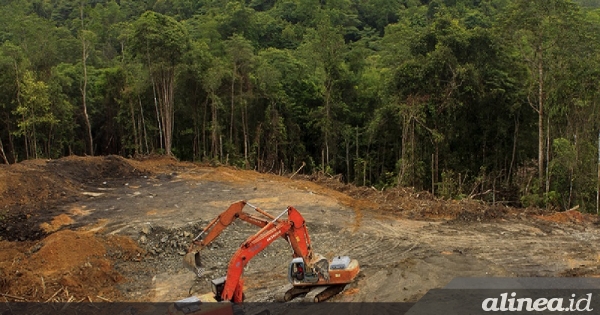 Hutan tropis Indonesia terus&nbsp;menipis